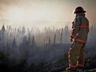 wildfires Anthony Hopkins