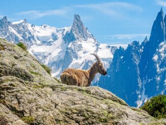 Best Places to Visit by Month in 2026