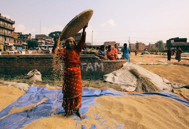 New labour law, Labour reforms