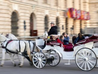 Plan Your Unforgettable Winter Vacation in 2025