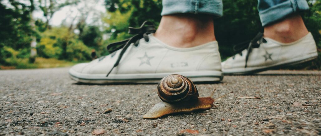 Why Slow Travel Is Becoming the New Luxury