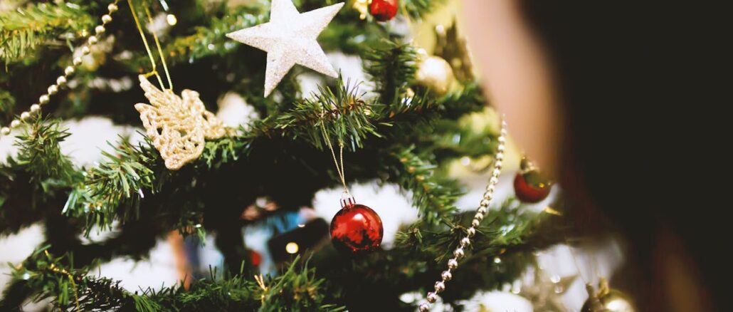 Christmas Tree Industry