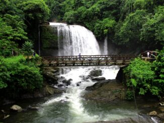 A Complete Travel Guide to Meghalaya