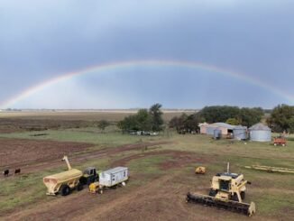 rainbow aqua culture