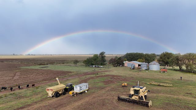 rainbow aqua culture