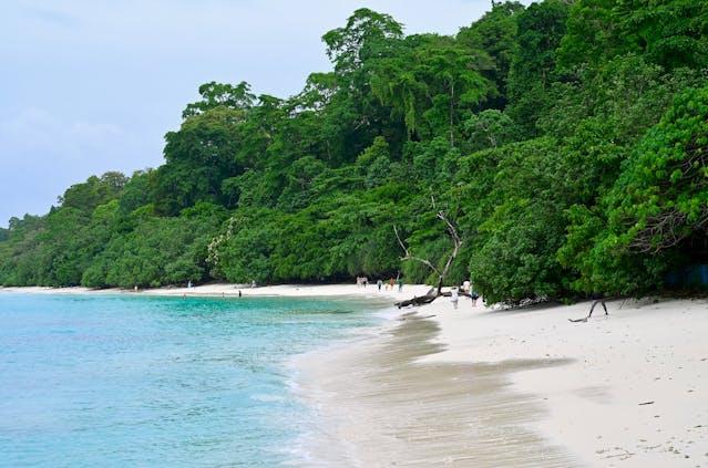 open-sea marine fish farming