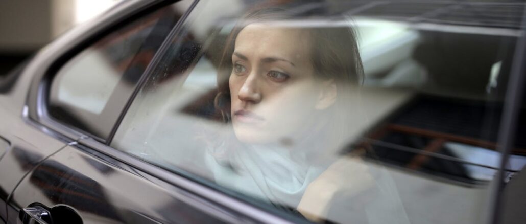 Custom auto sun shades