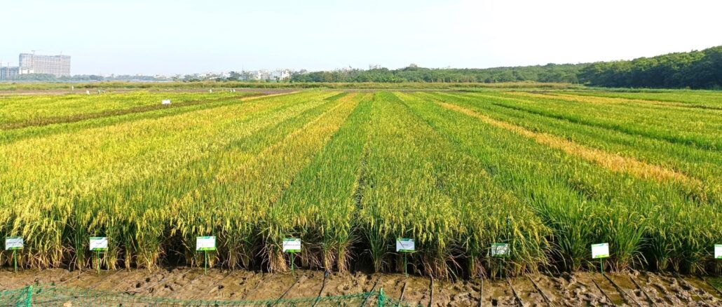 climate-resilient farming