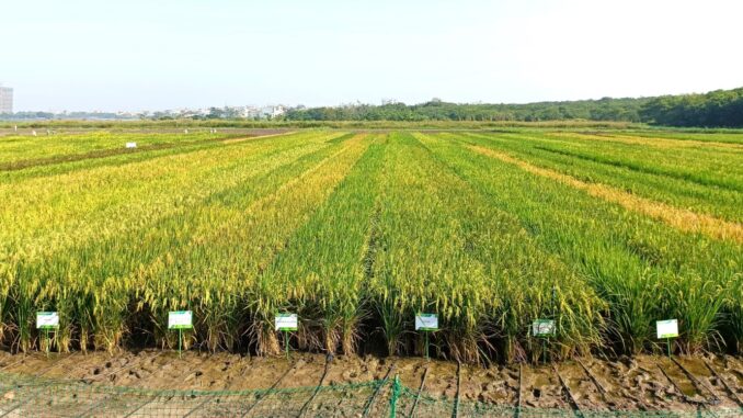 climate-resilient farming