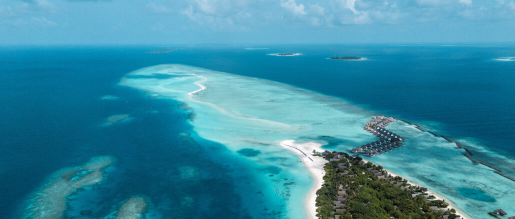 A Maldives Mushroom on a Mission