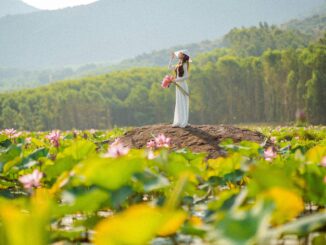 Exploring Wellness Travel Trends: Retreats, Ayurveda, and Mindful Stays