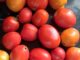 Crash in tomato prices forces TN farmers to halt harvest