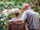 Plan the Perfect Holiday with Senior Citizens