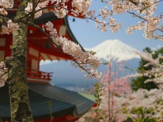 japan