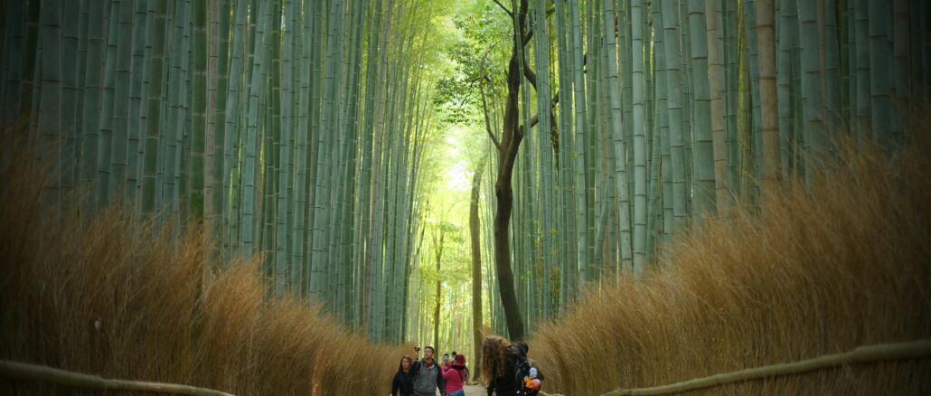 Kyoto Unveiled: Arashiyama