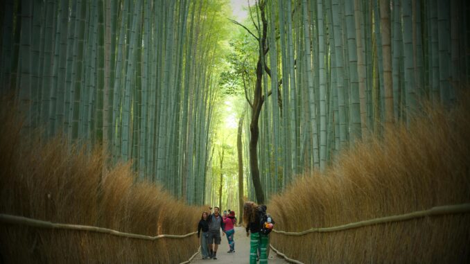 Kyoto Unveiled: Arashiyama