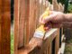 Hiring a Professional Fencing Company
