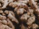 Mizoram Ginger Mission