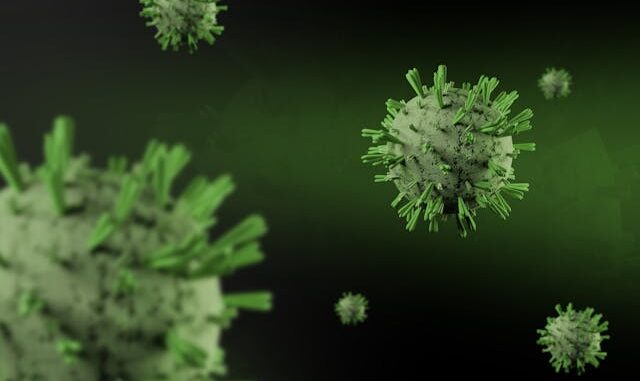virus