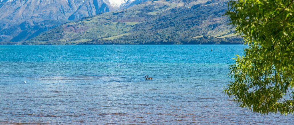Lakeside Retreats, Scenic Train Journeys, and Māori Cultural Experiences