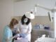 Cosmetic Dental Treatments