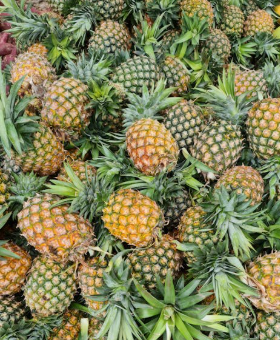 tripura