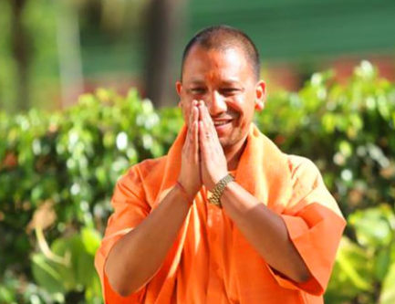 yogi