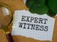 Expert witnesses