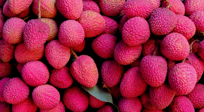 litchi