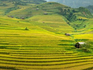 Exploring Sapa