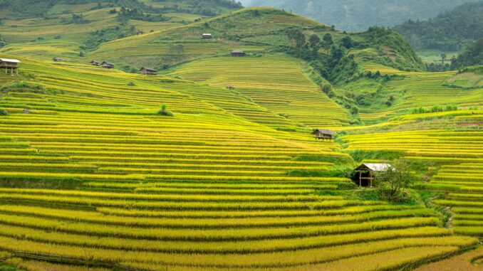 Exploring Sapa
