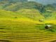 Exploring Sapa