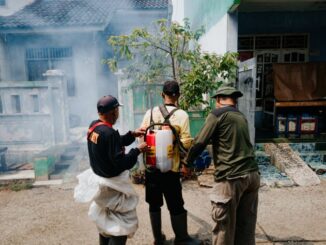 Discover how a Long-Term Pest Protection Plan can effectively reduce risks and keep your home free from pests all year round.