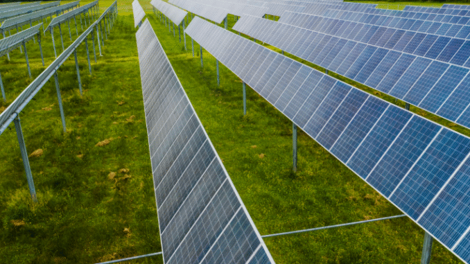 carbon credit