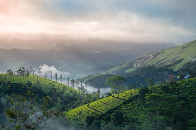 Tent stay in Vagamon, Homestay in Vagamon, Stay in vagamon with swimming pool, Best stay in vagamon,
