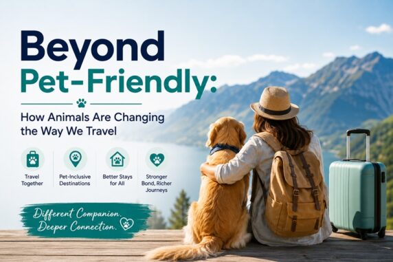 Pet frndly travel