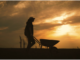 Get to Know the Costs of Starting a Landscaping Business