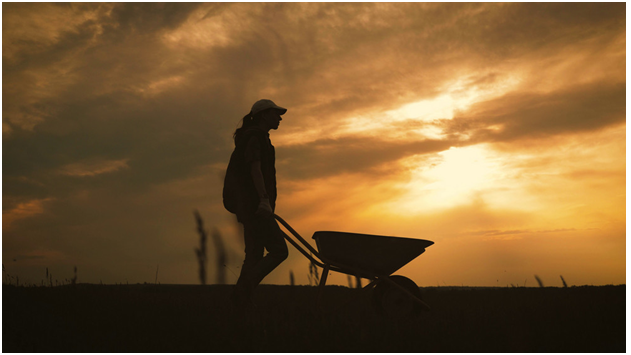 Get to Know the Costs of Starting a Landscaping Business