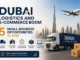 Dubai Logistics and E-Commerce Boom