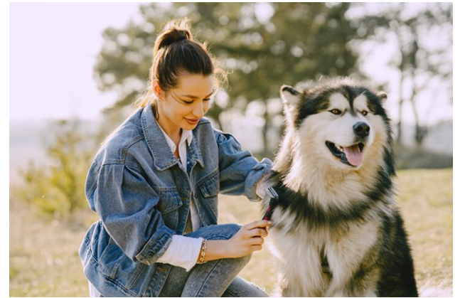 7 Ways to Show Your Pet You Care